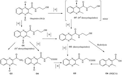 Tissue Depletion of Olaquindox and Its Six Metabolites in Pigs and Broilers: Identification of a Suitable Marker Residue